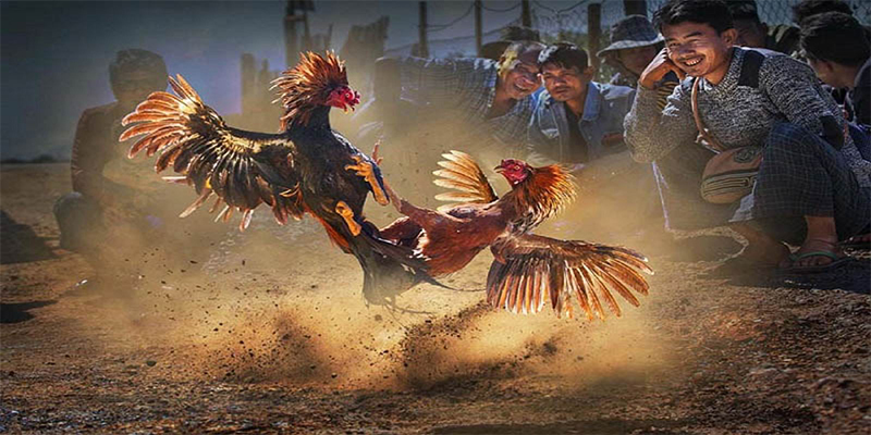 789bet win chơi bắn cá đổi thưởng