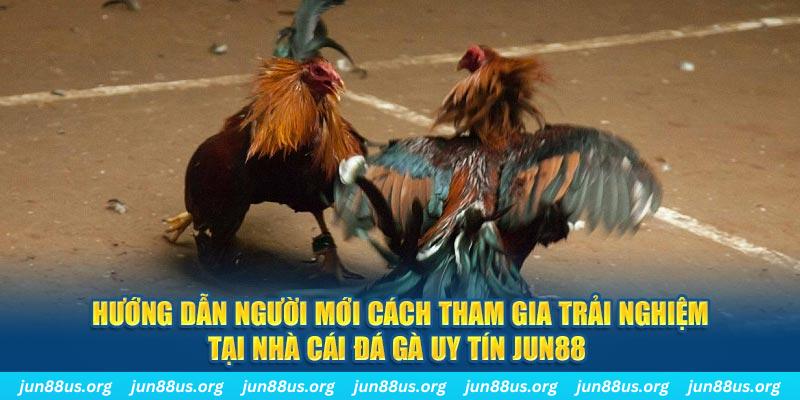 789bet win CQ9 Điện Tử