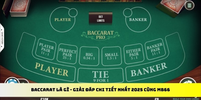 789bet win gà chọi cu cần