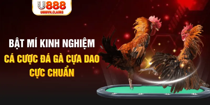 789bet win tỷ lệ cá cược châu á là gì
