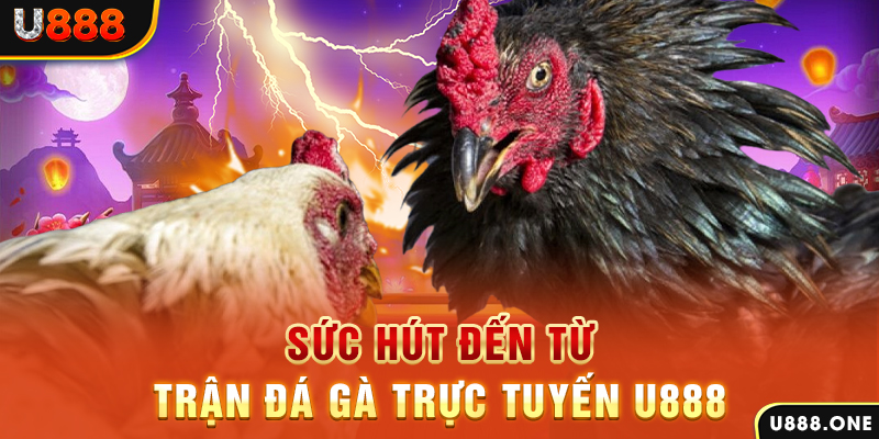789bet win nổ hũ b29 là gì