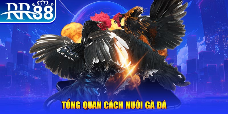 789bet win VA Điện Tử