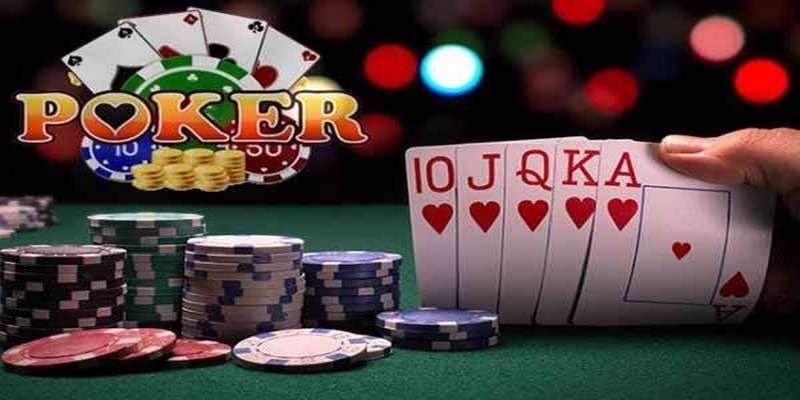 789bet win đá gà thomo trực tiếp