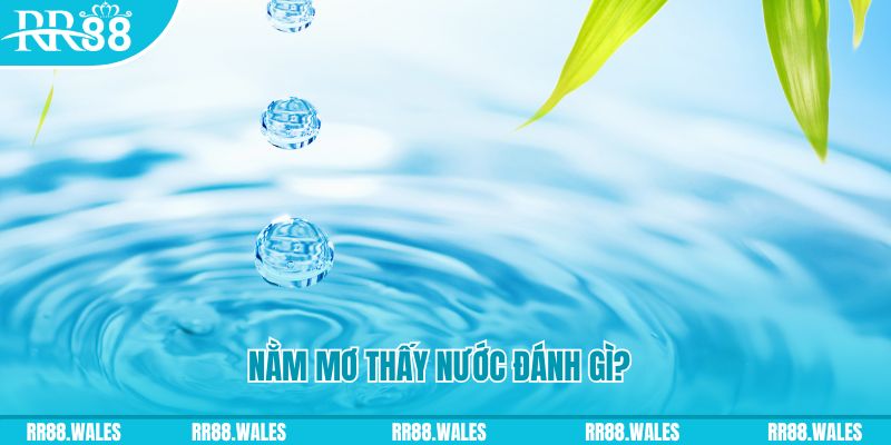 789bet win TP Bắn cá