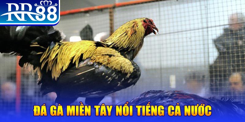 789bet win JILI Game Bài 3d