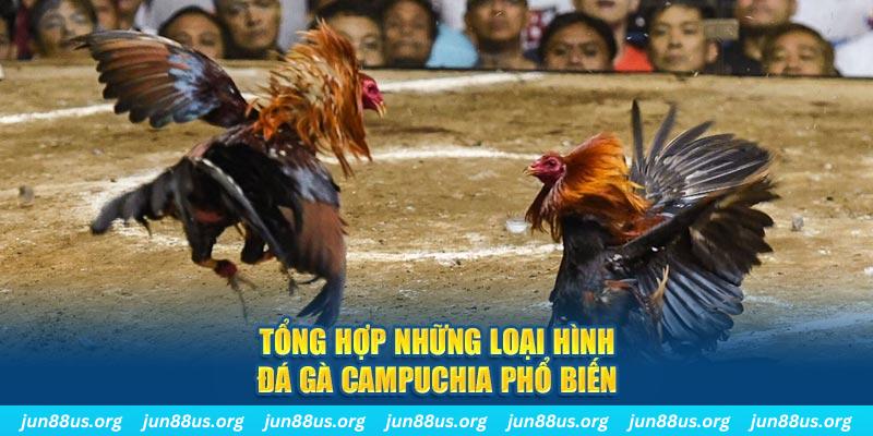 789bet win đăng nhập nổ hũ 2024
