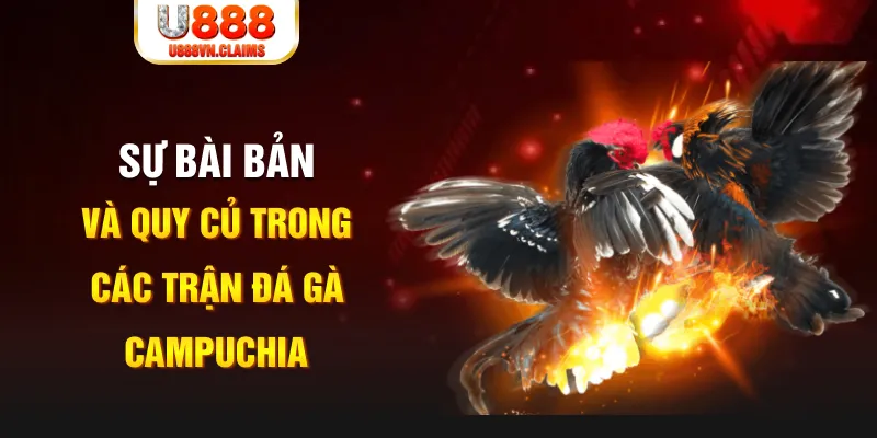 789bet win YGR Điện Tử