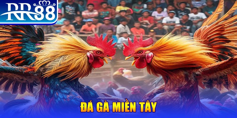 789bet win đăng nhập nổ hũ